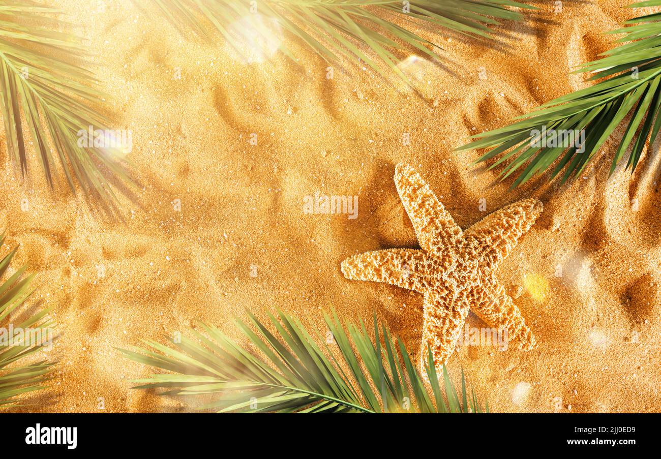 Sfondo di stelle marine isolate sulla spiaggia dorata Foto Stock