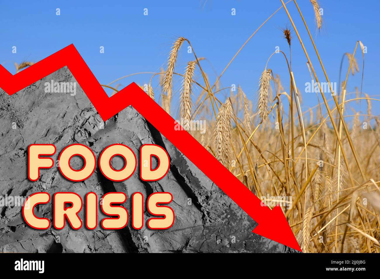 Crisi alimentare. Problemi mondiali con l'approvvigionamento di grano, un grafico di livelli in calo. Mancanza di farina e pane. Concetto di deficit mondiale. . Foto Stock