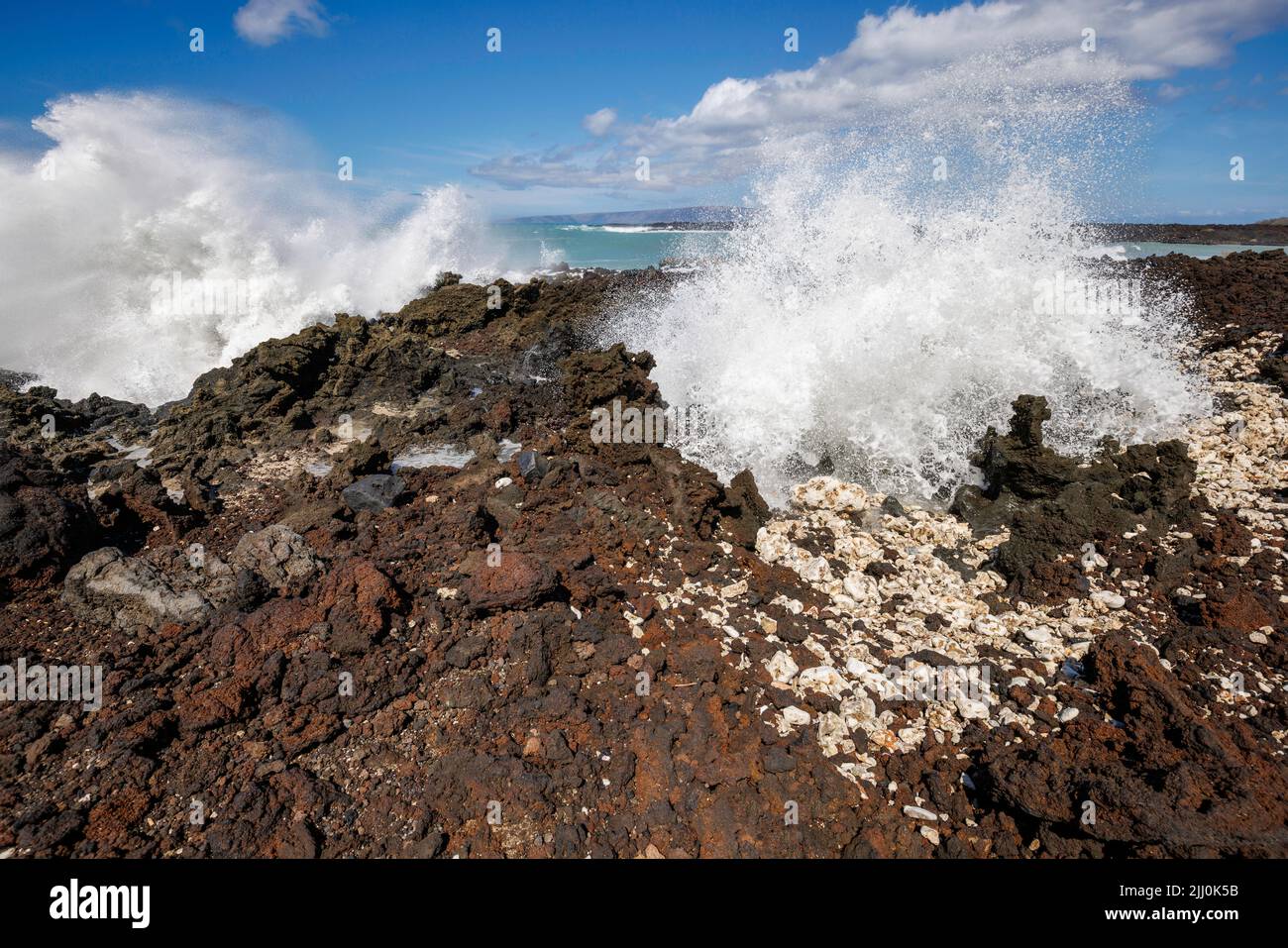 Crashing surf e un fiore alla la Perouse Bay a Sud Maui. Le onde che infrangono i record fino a 24 piedi colpiscono la costa meridionale delle isole Hawaiiane il mese di luglio. Foto Stock