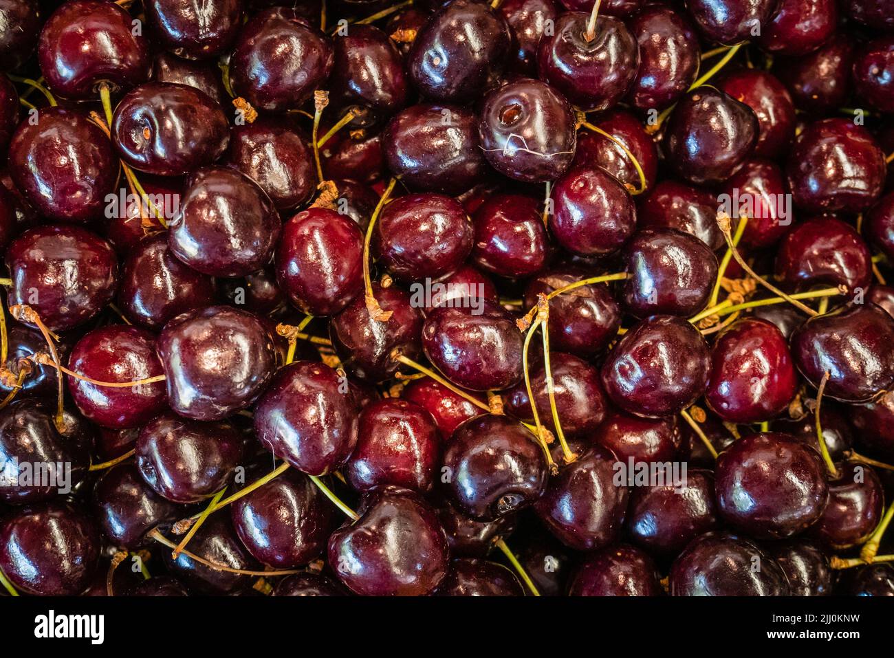 le ciliegie rosso scuro si rievocano con frutta pronta a mangiare Foto Stock