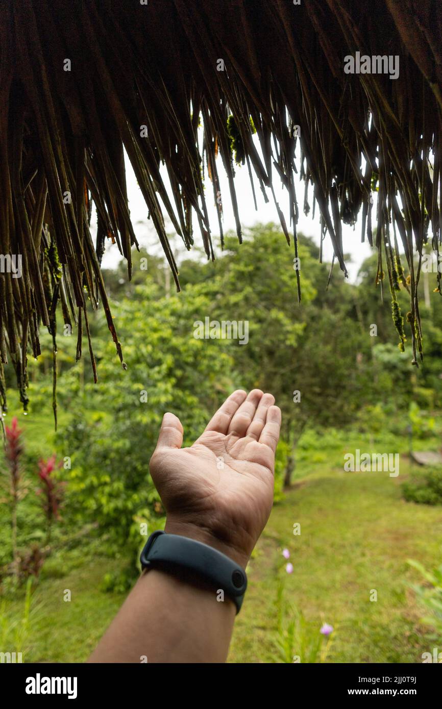 mostrando la mano come un gesto di tenuta, sullo sfondo una lussureggiante foresta tropicale, la natura di giorno, lo stile di vita di con vacanze in campagna Foto Stock