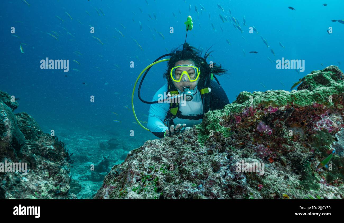 Donna subacquea al Mare delle Andamane / Thailandia Foto Stock