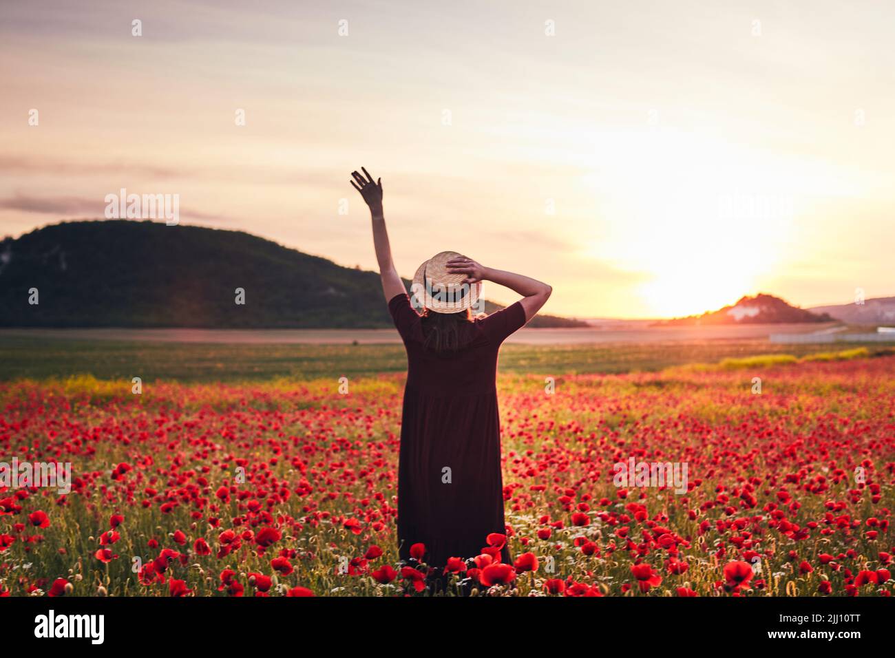 Una giovane donna si pone in un campo con papaveri selvatici rossi al tramonto. Vista frontale. Foto Stock