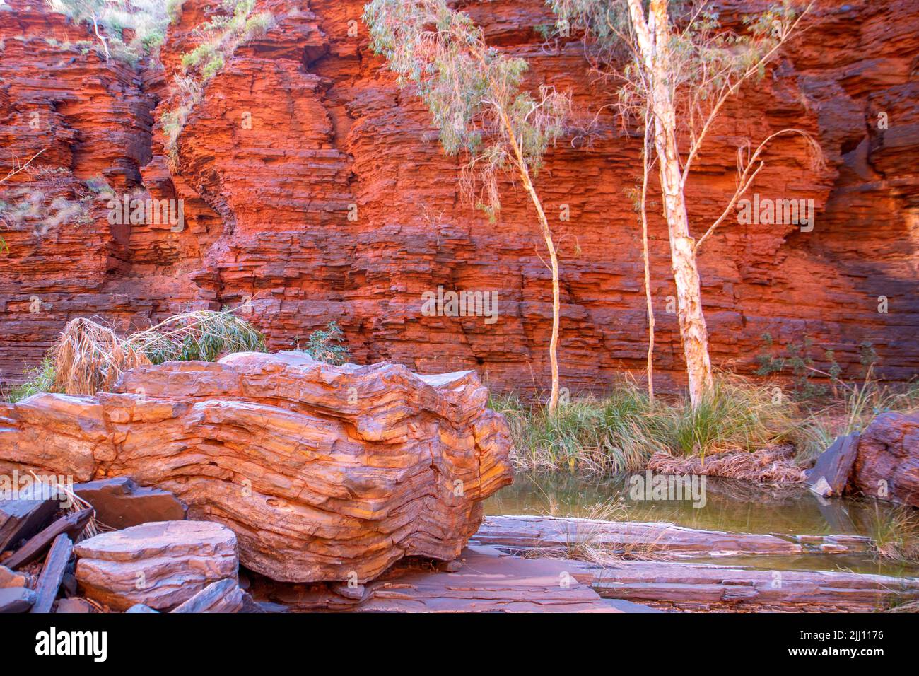 Gola di Kalamina, Parco Nazionale di Karijini Foto Stock