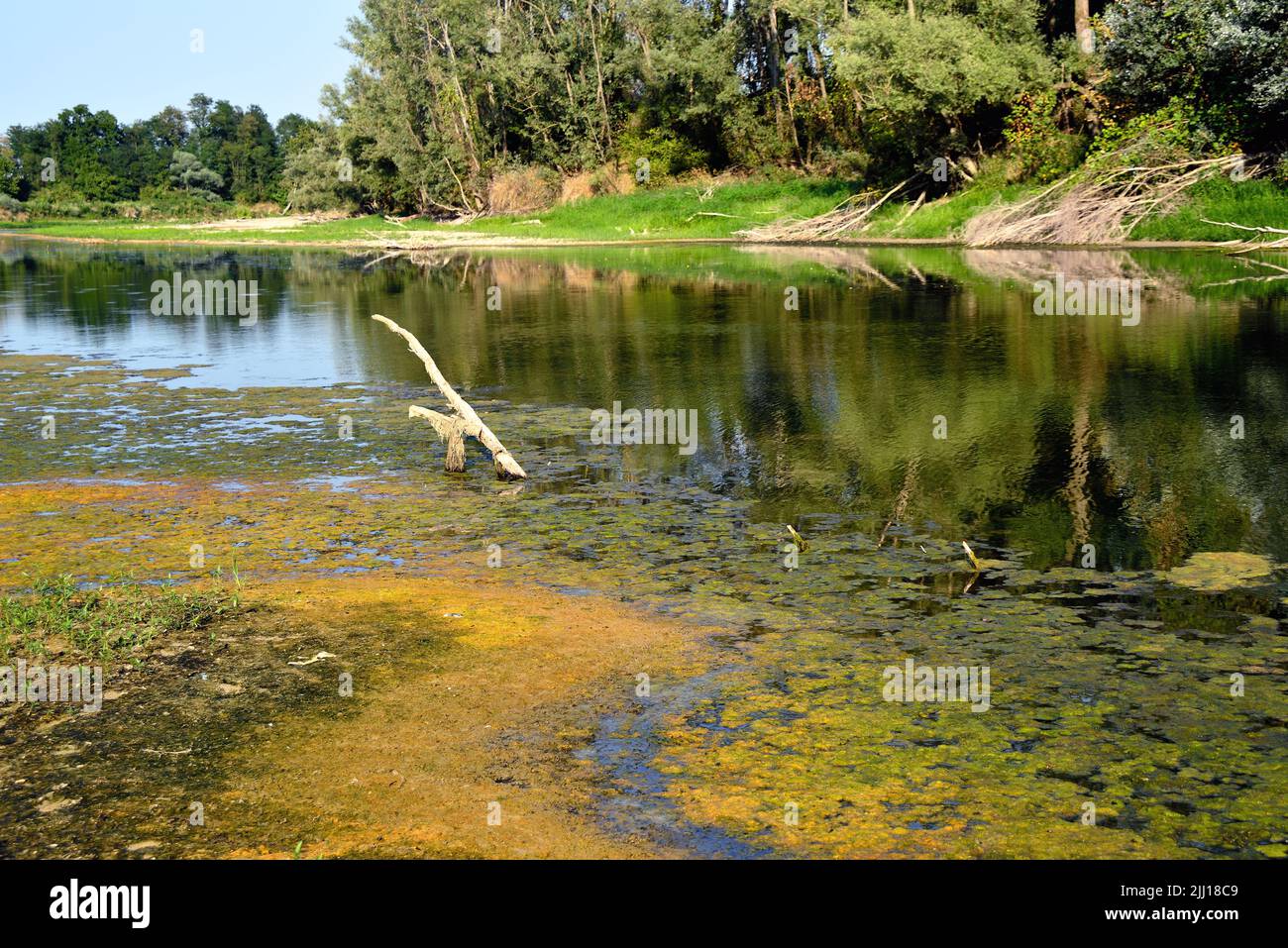 Veneto, Italia, il fiume Brenta in acque basse, la siccità che colpisce il Nord Italia non mostra alcun segno di riduzione. Dopo 200 giorni senza pioggia e un inverno senza neve, il livello dei fiumi è sempre basso. Gravi danni all'agricoltura. Il livello del fiume è sceso di diversi metri. Foto Stock