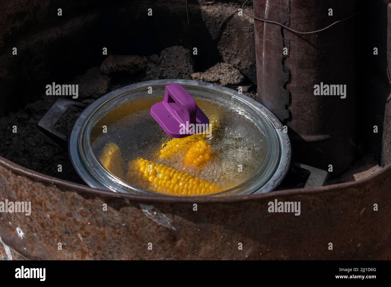 Fuoco selettivo sparato di grano bollito lasciato a bollire su stufa. Foto Stock