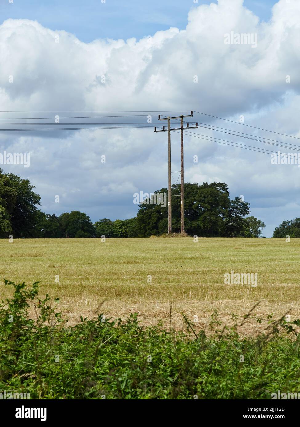Una vista di campagna di campi e boschi e un'incongruente palo telegrafico contro e drammaticamente nuvoloso cielo. Foto Stock