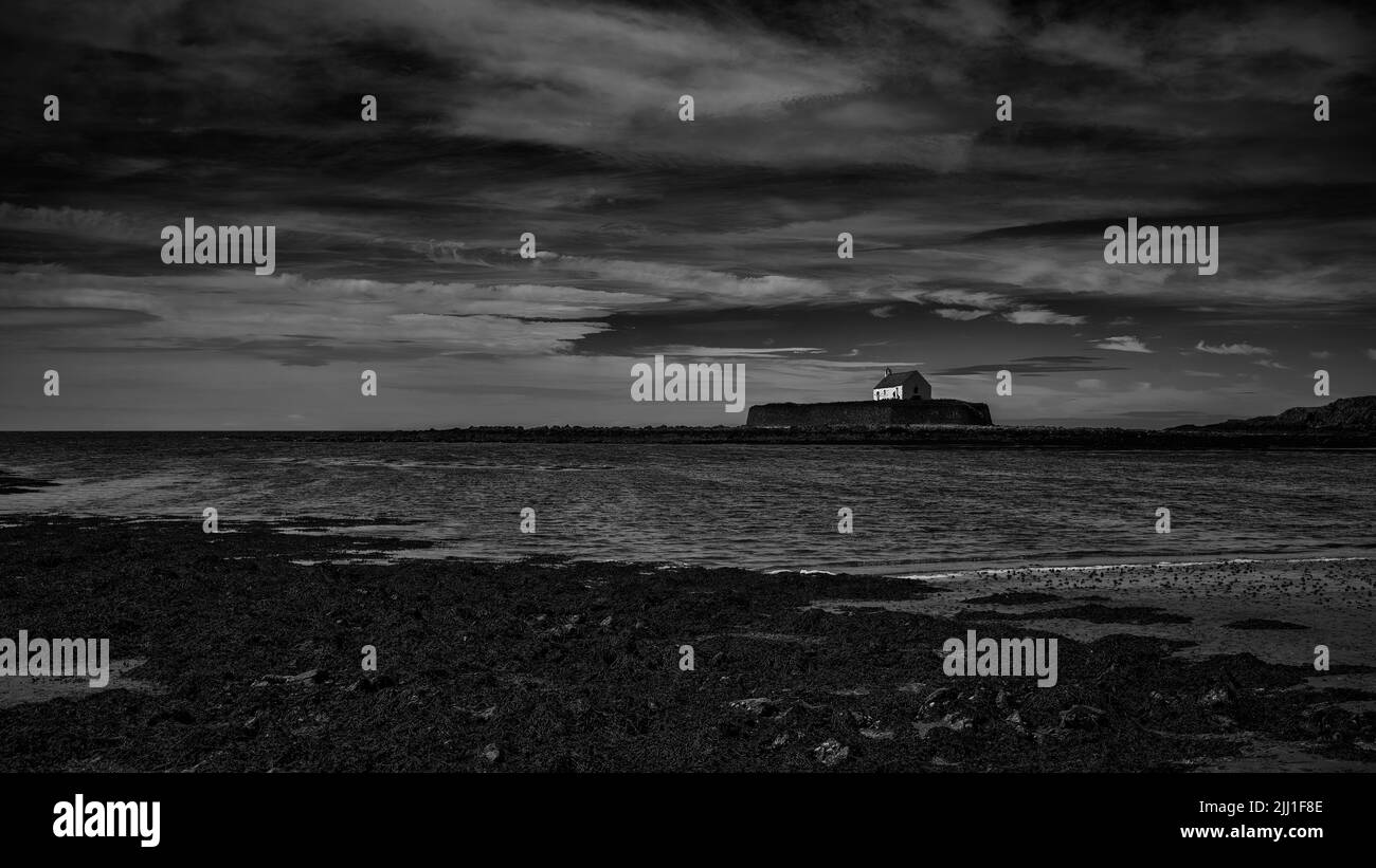 L'accattivante chiesa di St Cwyfan sull'isola di Cribinau, Porth Cwyfan, Anglesey, Galles Foto Stock