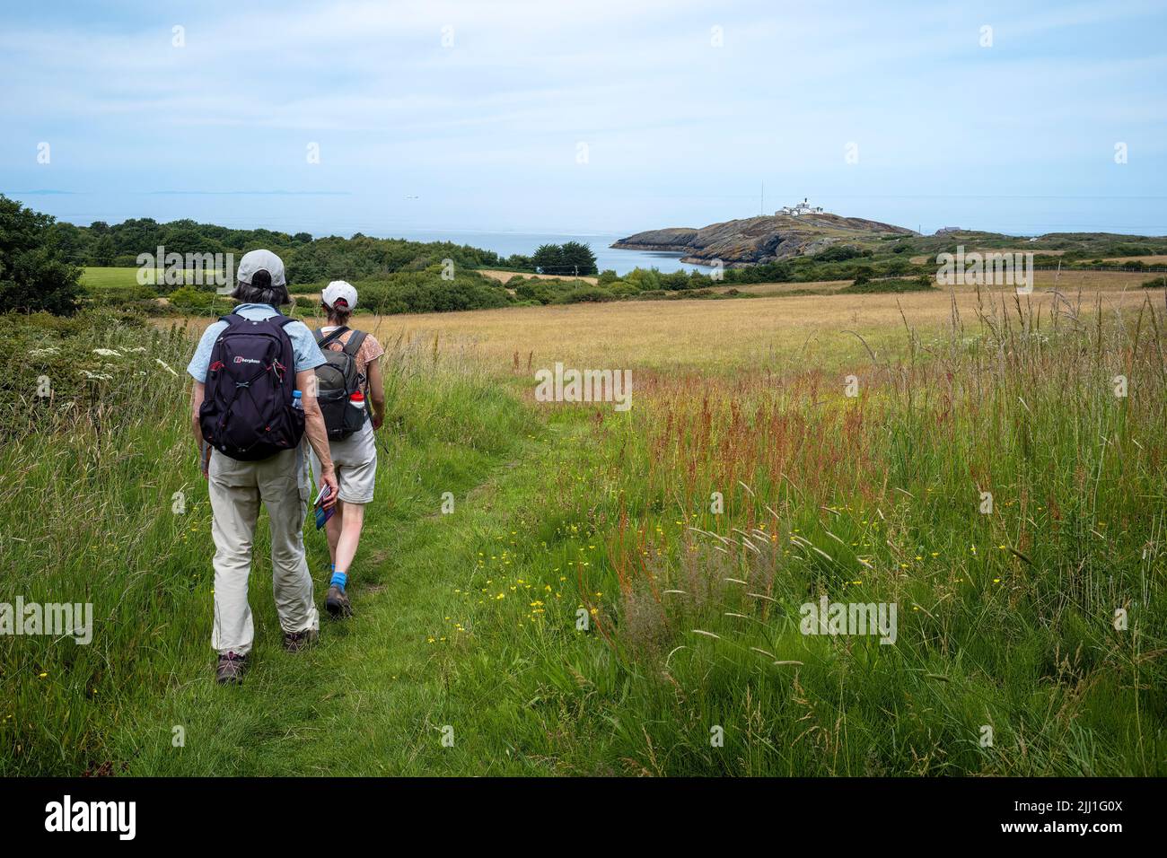 Un percorso idilliaco per Porth Eilian, Point Lynas, Anglesey, Wales, UK Foto Stock