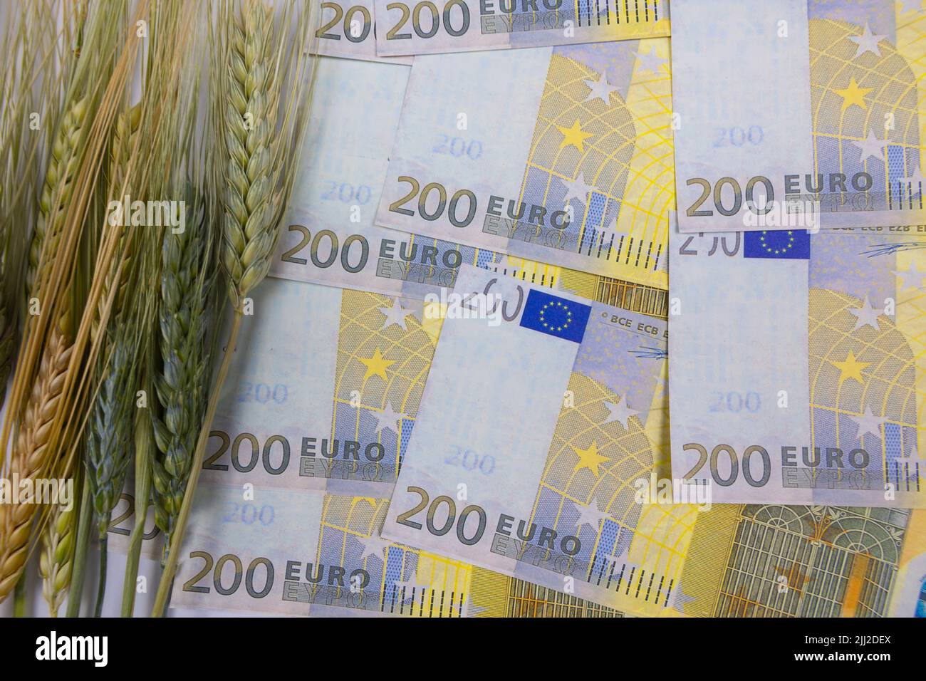 Cibo o grano o grano o prezzi agricoli in aumento in Europa concept foto. Effetti del conflitto tra Russia e Ucraina nell'agricoltura o nell'industria alimentare. Foto Stock