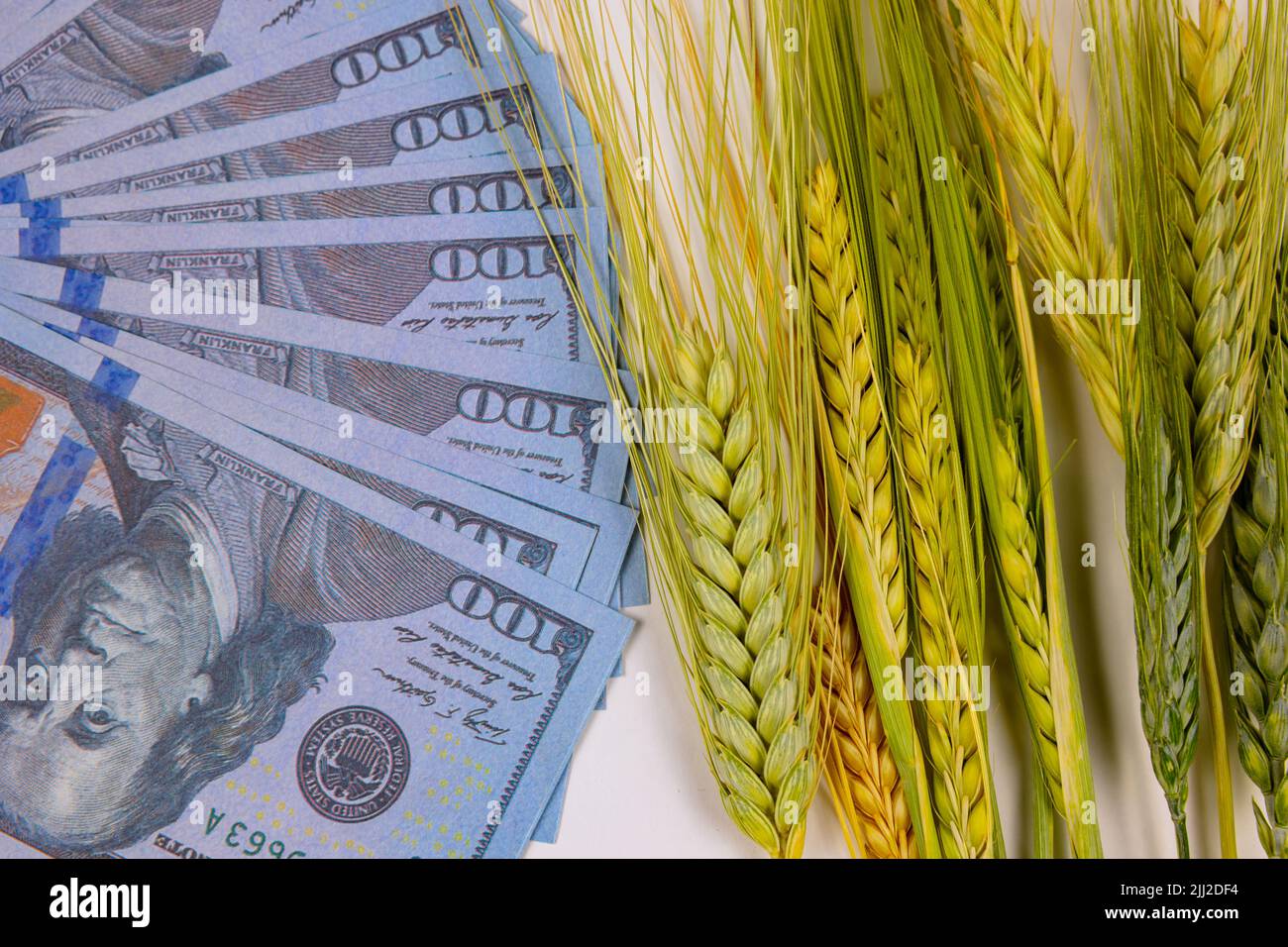 Concetto di inflazione alimentare negli Stati Uniti. Aumento di grano o grano o cibo prezzi foto di fondo. Foto Stock
