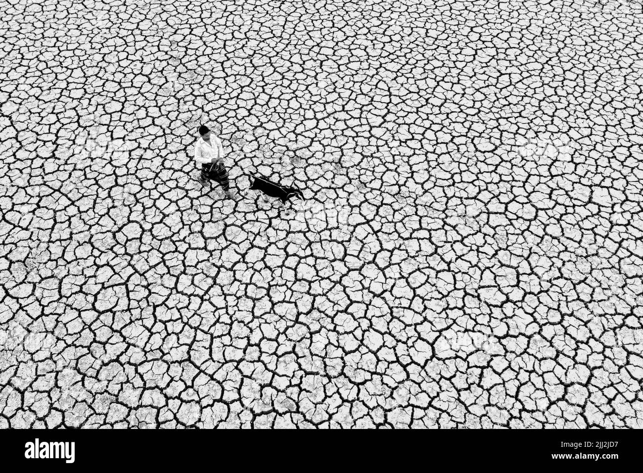 Terreni agricoli asciutti incrinati sotto il sole rovente, simbolo della siccità, dei cambiamenti climatici, delle carenze del raccolto, del suolo arido, ondata di caldo, riscaldamento globale, crisi agricola Foto Stock