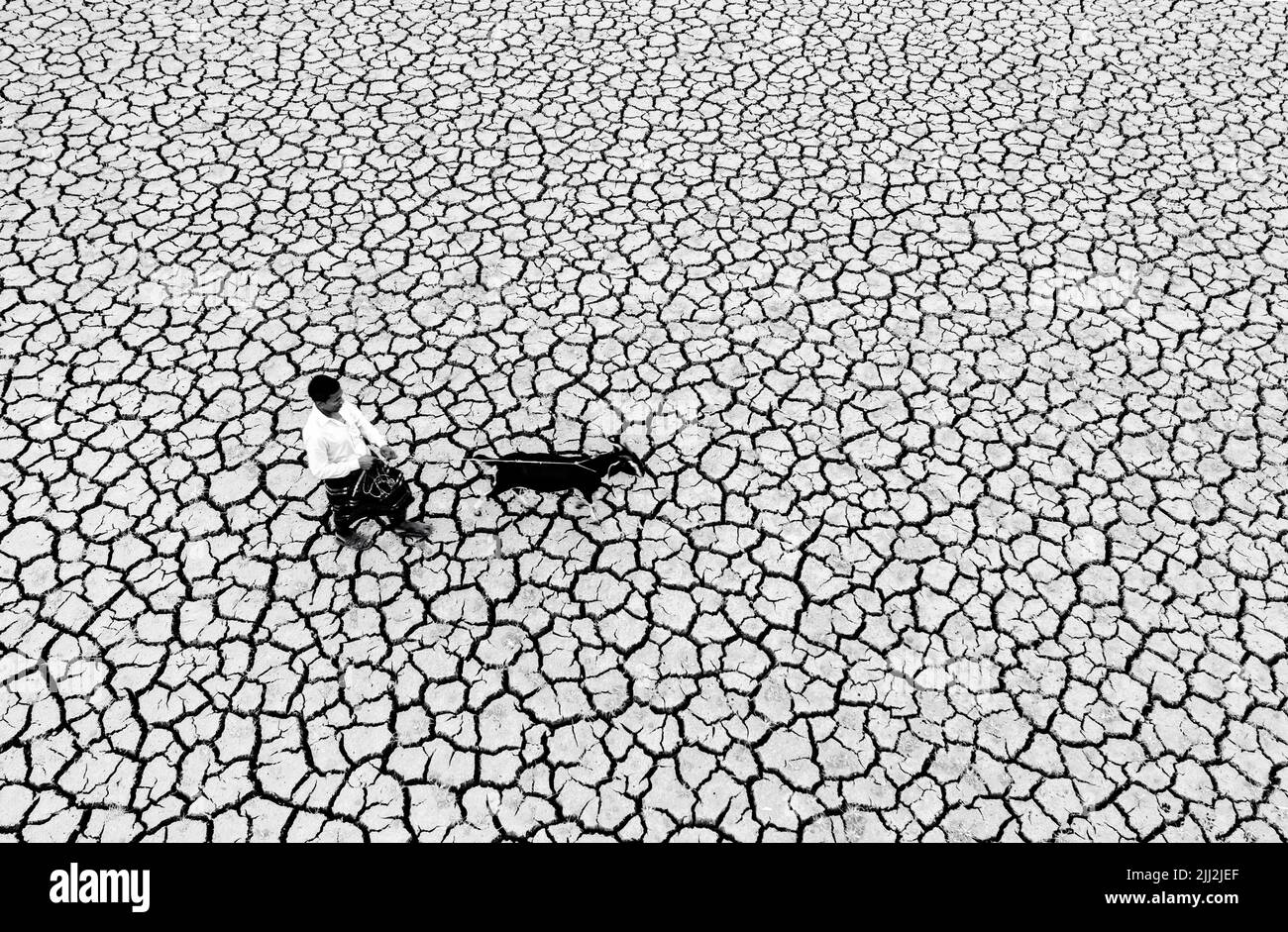 Terreni agricoli asciutti incrinati sotto il sole rovente, simbolo della siccità, dei cambiamenti climatici, delle carenze del raccolto, del suolo arido, ondata di caldo, riscaldamento globale, crisi agricola Foto Stock