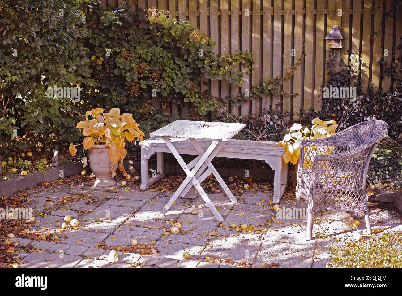 Accogliente giardino per caffè e lettura. Vecchio legno e mobili dimenticati in un patio in pietra all'aperto con spazio copia. Posizione privata per rilassarsi e. Foto Stock