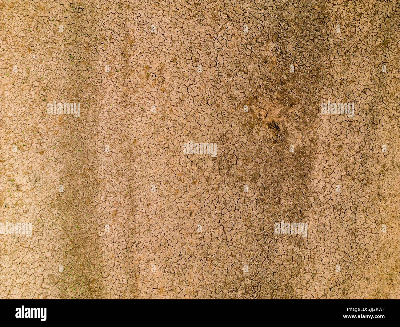 Terreno cotto, incrinato, asciutto in un serbatoio vicino vuoto durante un'ondata di calore e la siccità (Llwyn Onn, Galles) Foto Stock