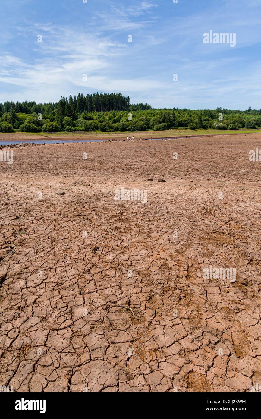 Terra incrinata e asciutta in un serbatoio durante un'onda di calore e la siccità (Llwyn Onn, Galles) Foto Stock