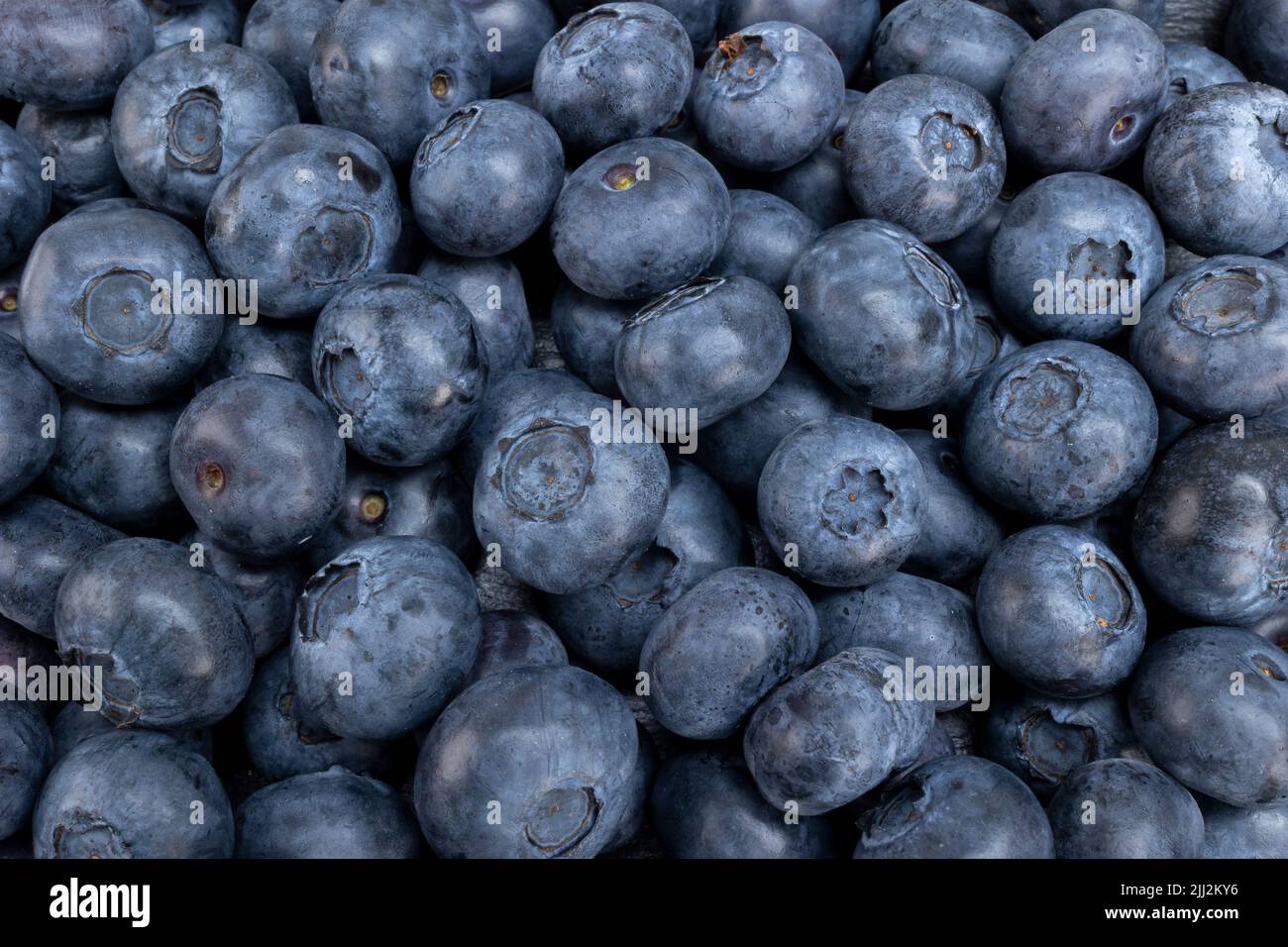 Frutta fresca estate mirtillo succosa per una dieta sana. Mirtilli biologici per un'alimentazione sana e un concetto di vita. Foto Stock