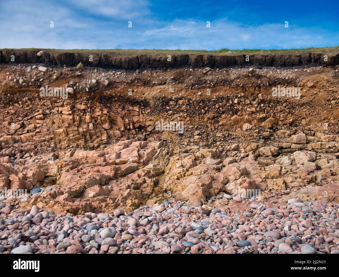 Erodendo il terreno, il sottosuolo e la roccia in una spiaggia di ciottoli vicino a Sand Wick e Hillswick a Northmavine, Shetland, Regno Unito. Foto Stock