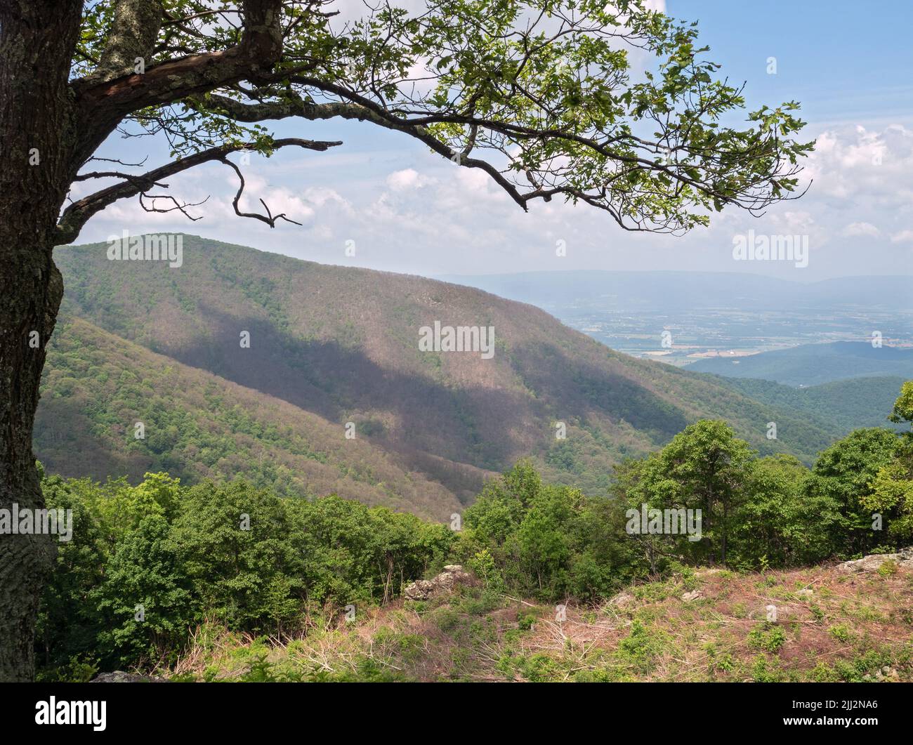 Dalla Skyline Drive Scenic Byway, questo è Crescent Overlook. Foto Stock