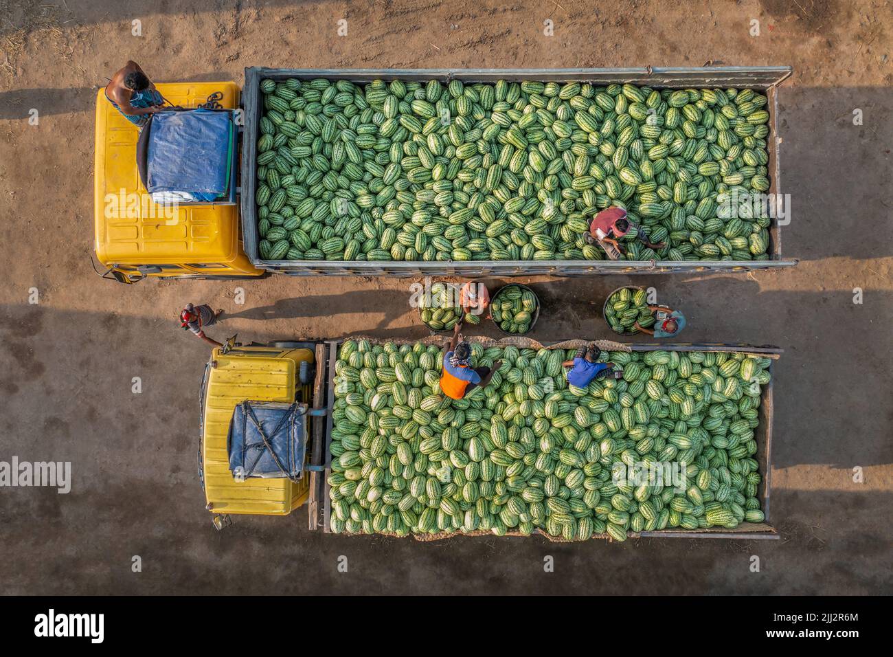 Mercato all'ingrosso dell'anguria in Bangladesh Foto Stock