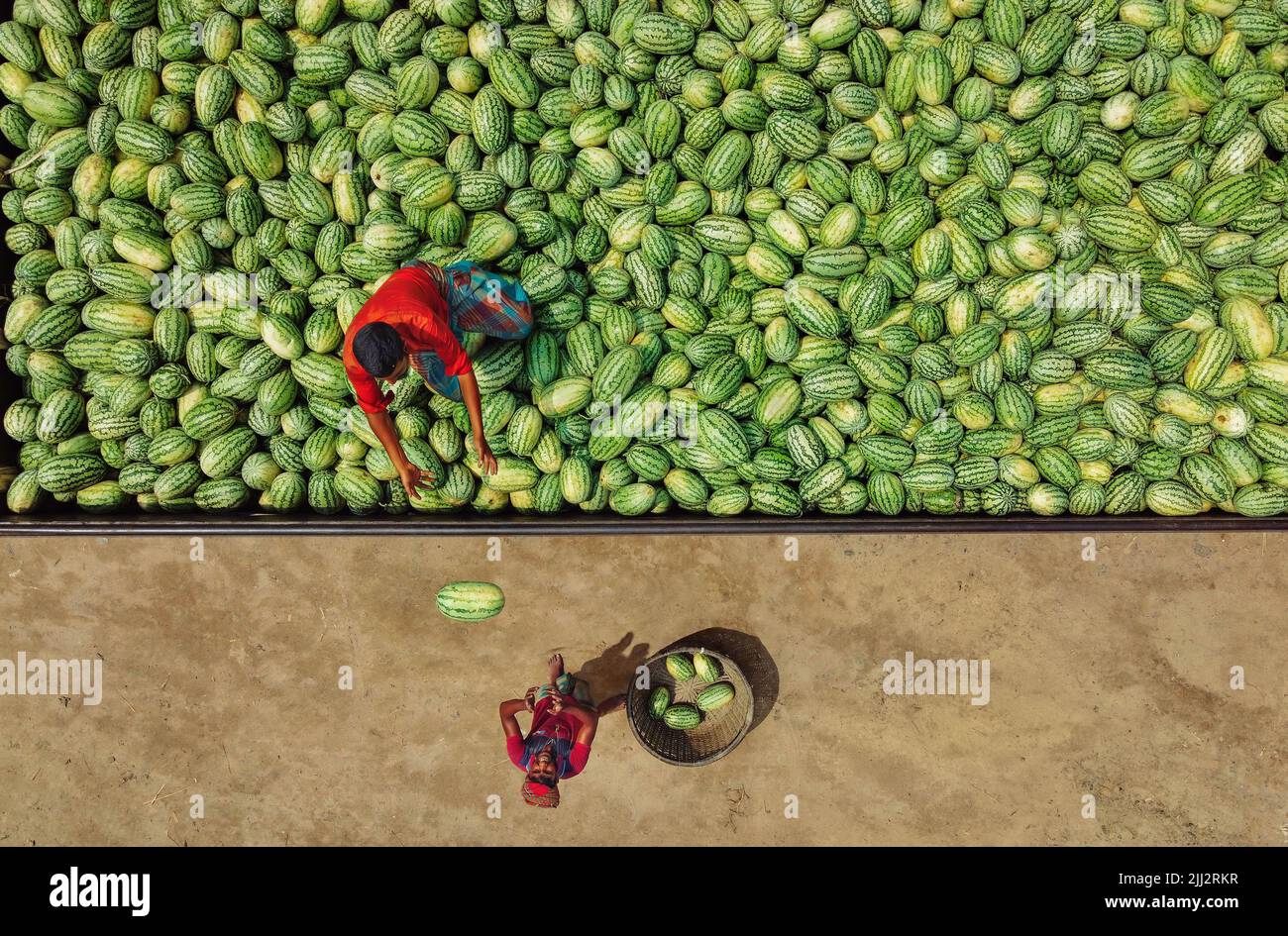 Mercato all'ingrosso dell'anguria in Bangladesh Foto Stock