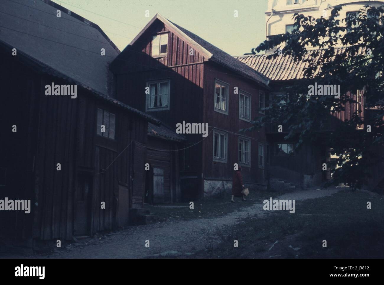 Queen 37. Foto Stock