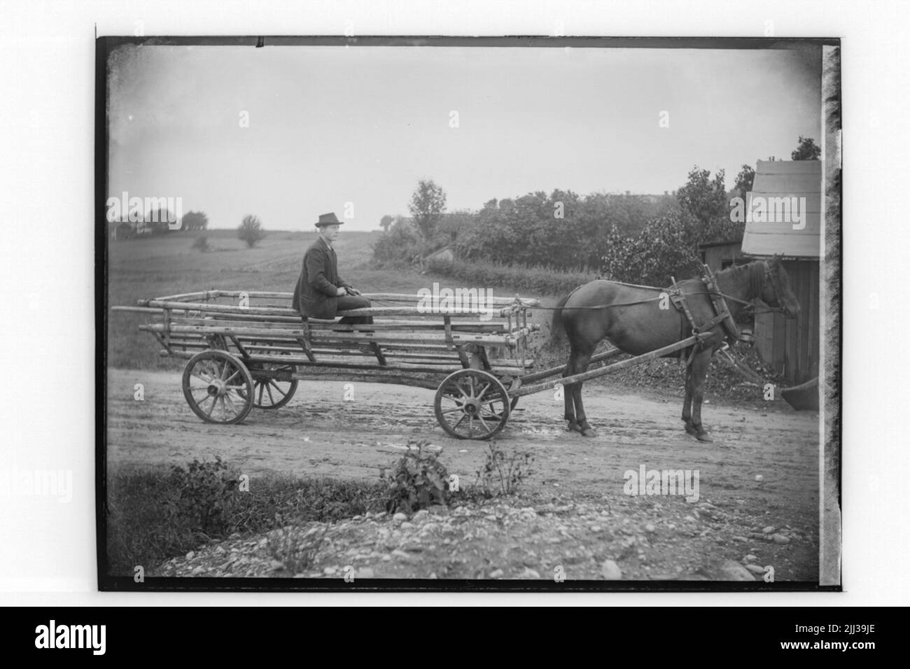 Il fieno urla, un uomo.albin Pettersson Foto Stock