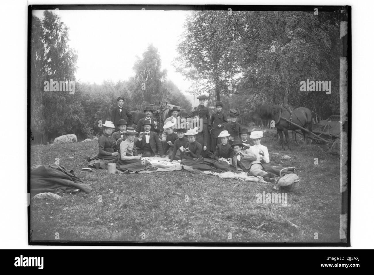 Gruppo 19 persone. Escursione nel verde. Tiro a cavallo. Carl Andersson Foto Stock
