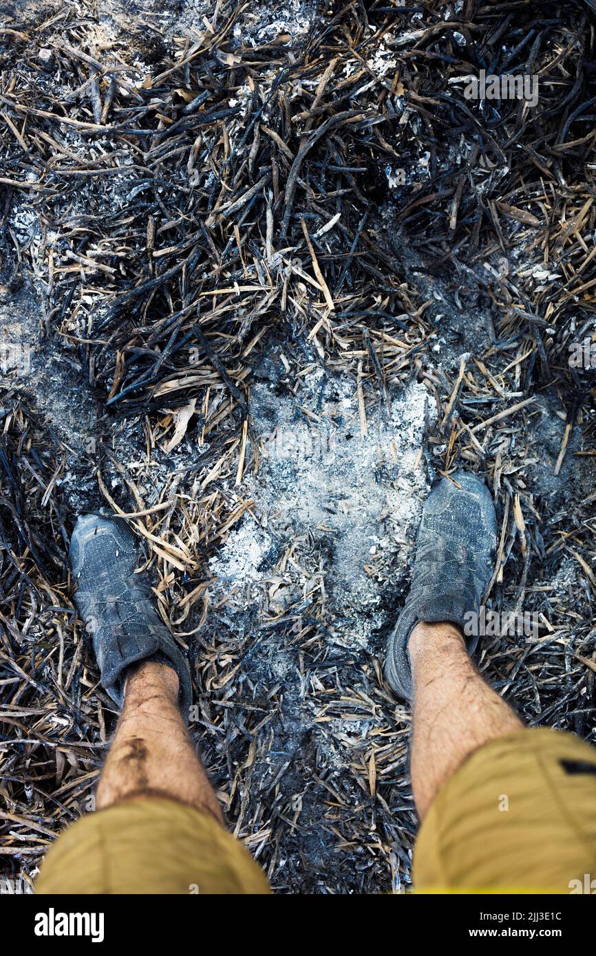 Un uomo in piedi in un campo bruciato Foto Stock