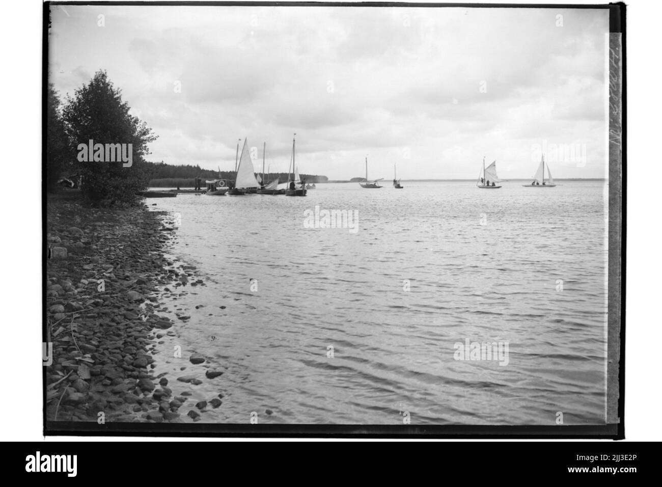 La prima vela della Società di vela nel giugno 1908 su Hjälmaren.7 Barche a vela a Bryggan. Foto Stock