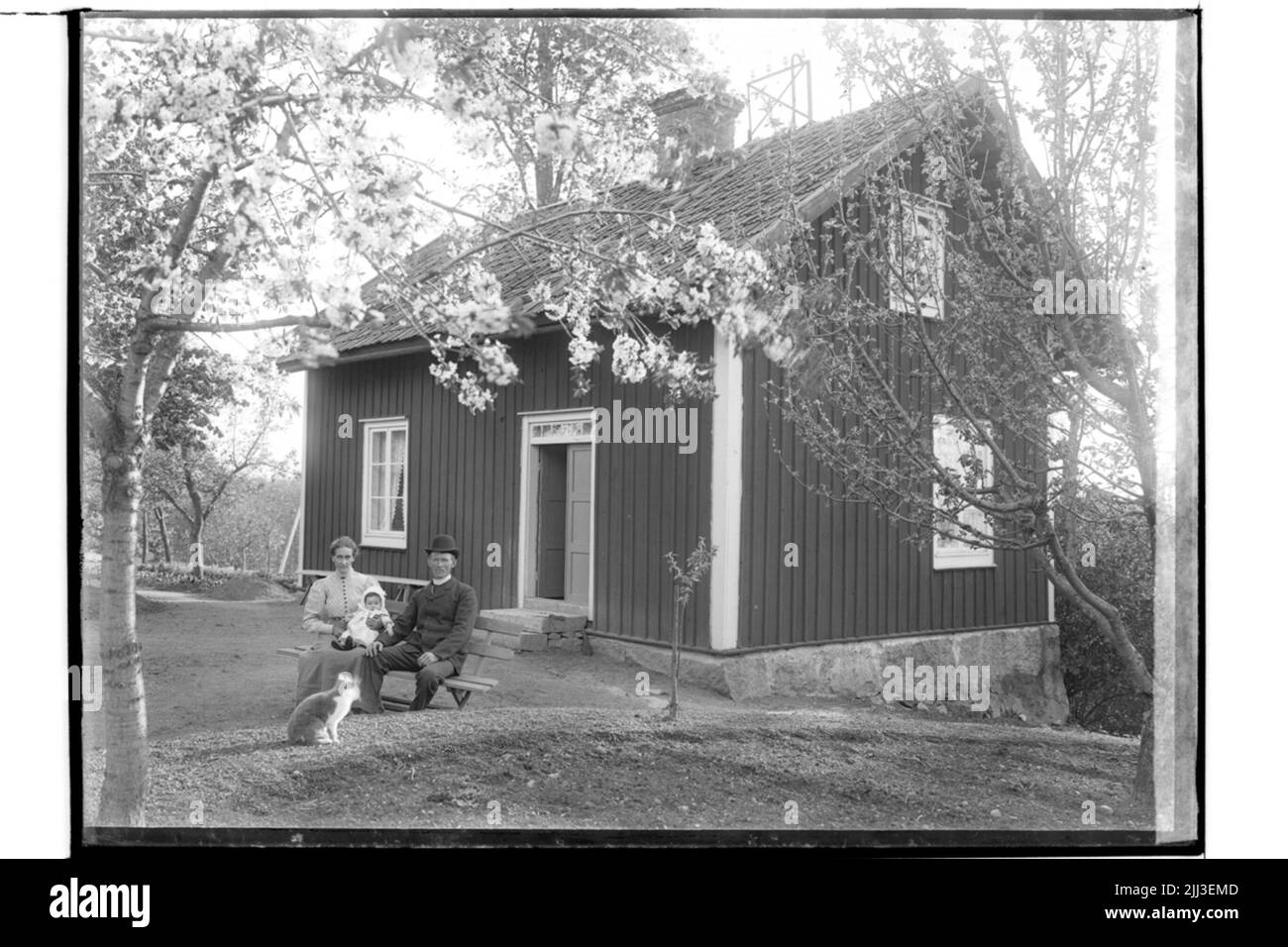Cottage singolo a un piano, due adulti e un bambino piccolo sul divano giardino di fronte al cottage e un Cat.nils Ringström Foto Stock