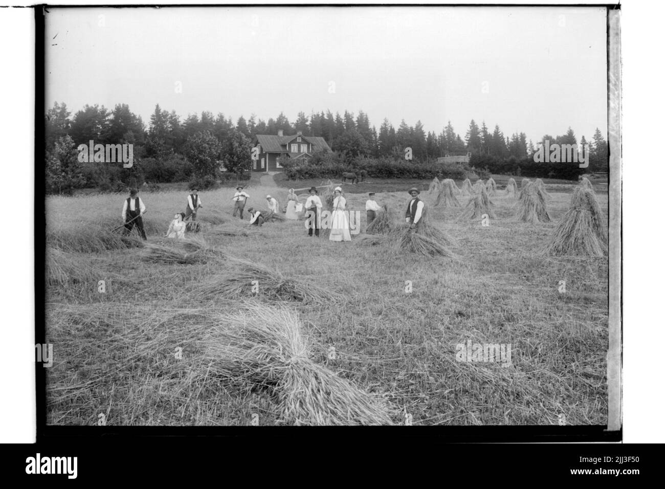 Lavoro di raccolta, 11 persone. Un edificio residenziale di mezzo livello.Gustaf Pettersson Foto Stock