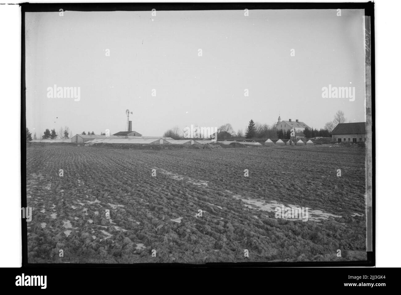 Rosängen, Södra Ladugårdsskogen, edificio residenziale di Örebro.tvåsting, serra ed economia. Commercio giardino. Fiore Sandberg Sandberg Foto Stock