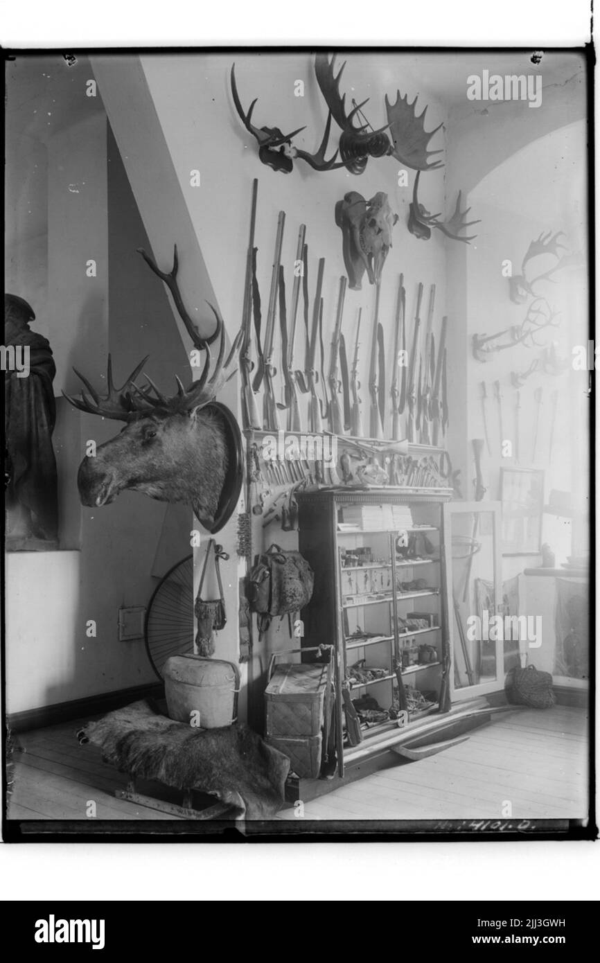Museo della contea di Örebro, Castle.Hugo Hedberg. Dipartimento di caccia, testa di alce, fucile da caccia, zaini, ecc. Foto Stock