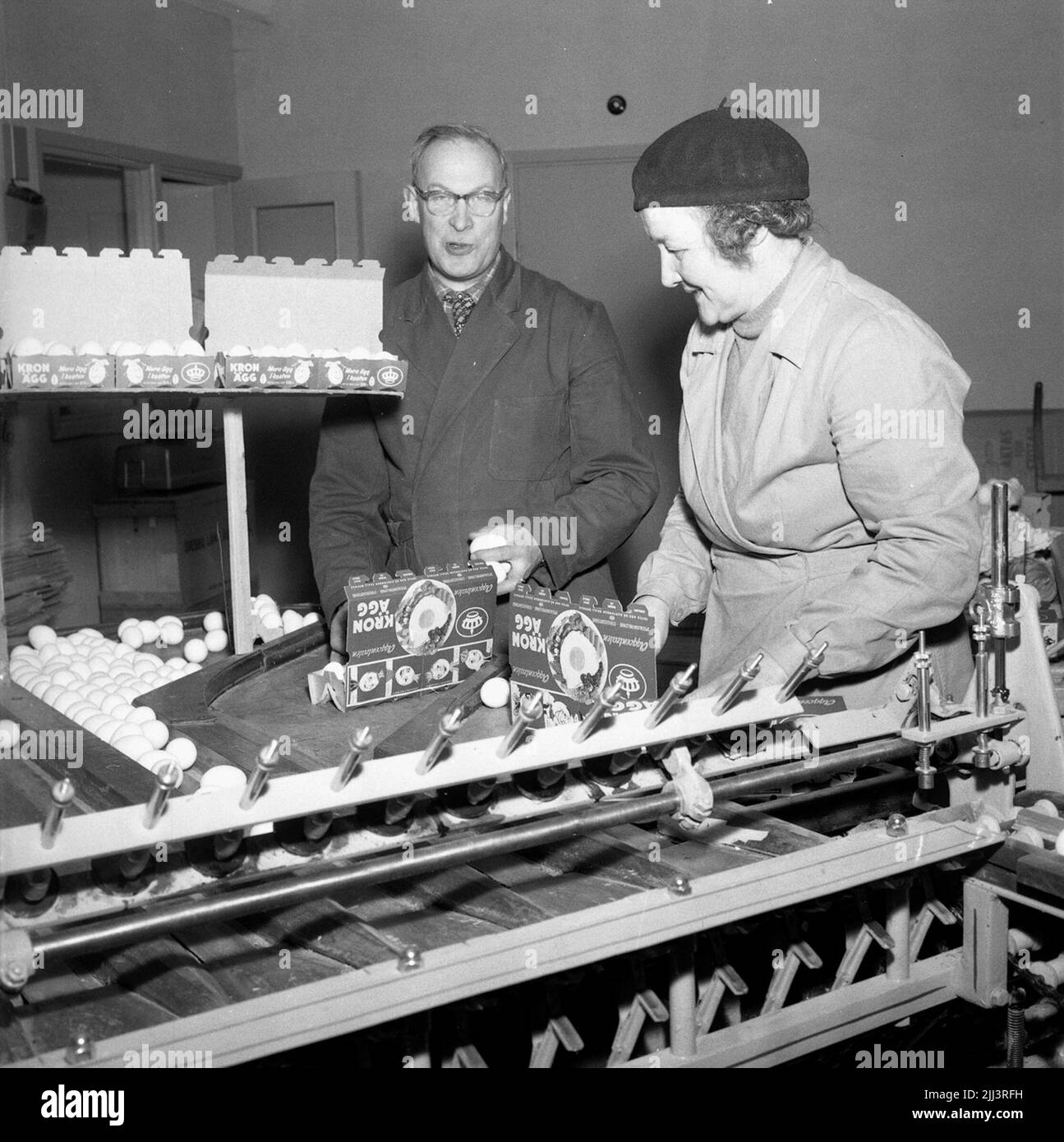Il centro dell'uovo. Marzo 1956. Foto Stock