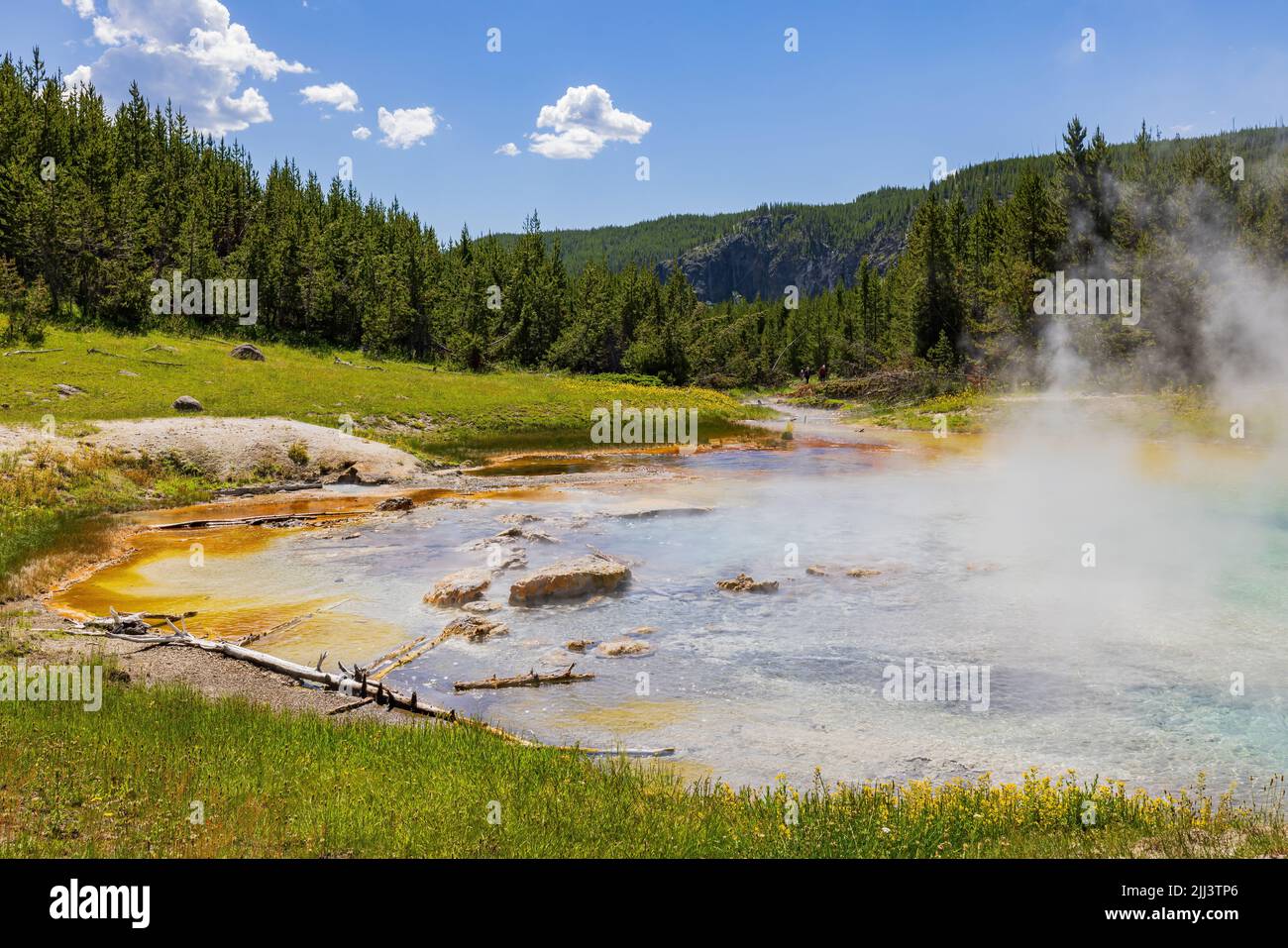 Vista soleggiata dello splendido paesaggio di Imperial Geyser nel Wyoming Foto Stock