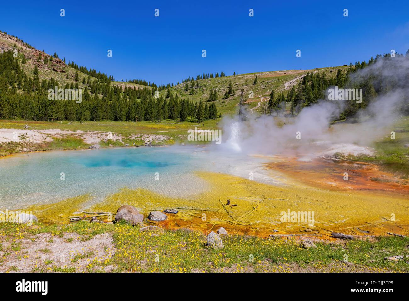Vista soleggiata dello splendido paesaggio di Imperial Geyser nel Wyoming Foto Stock