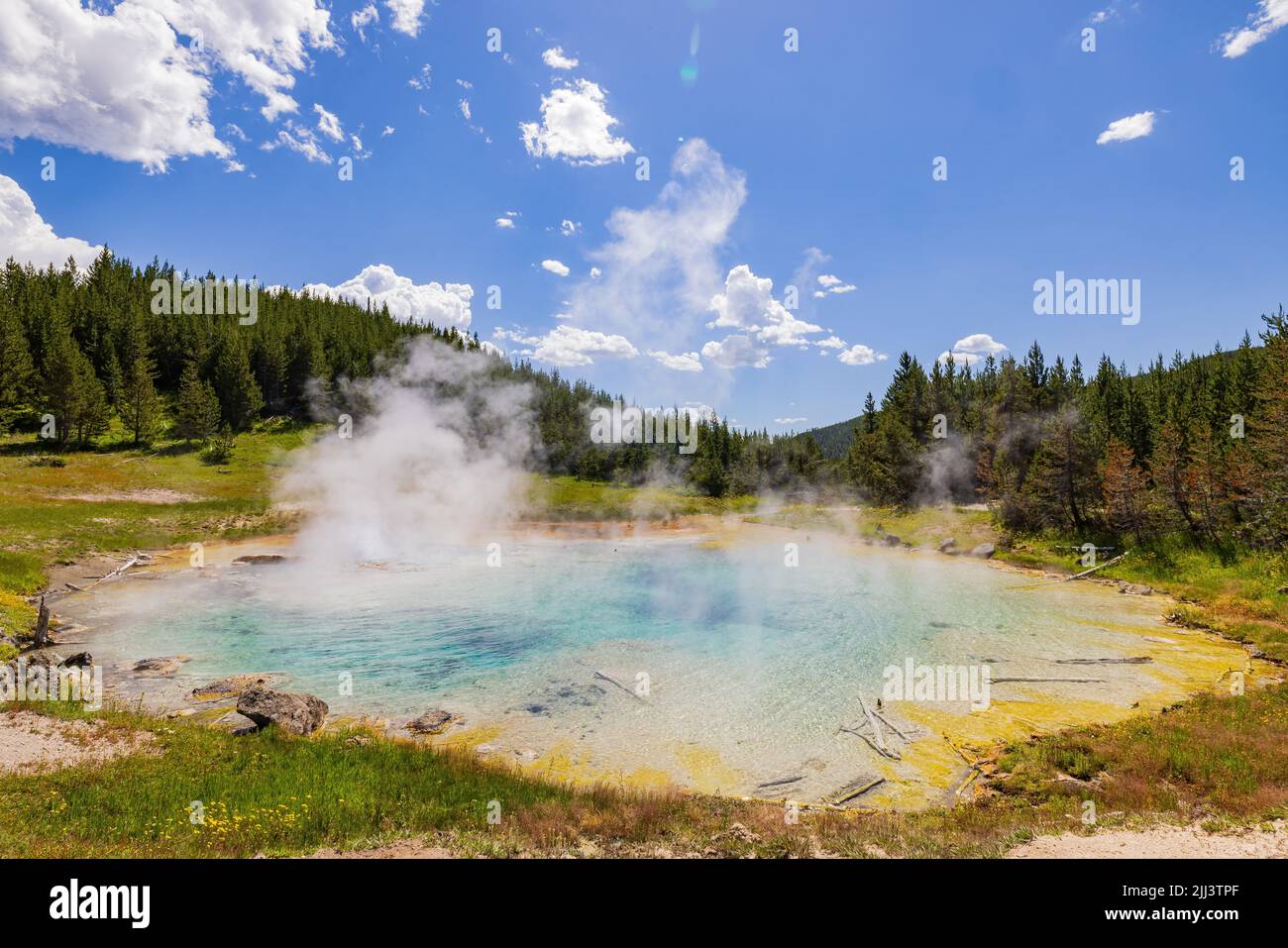 Vista soleggiata dello splendido paesaggio di Imperial Geyser nel Wyoming Foto Stock