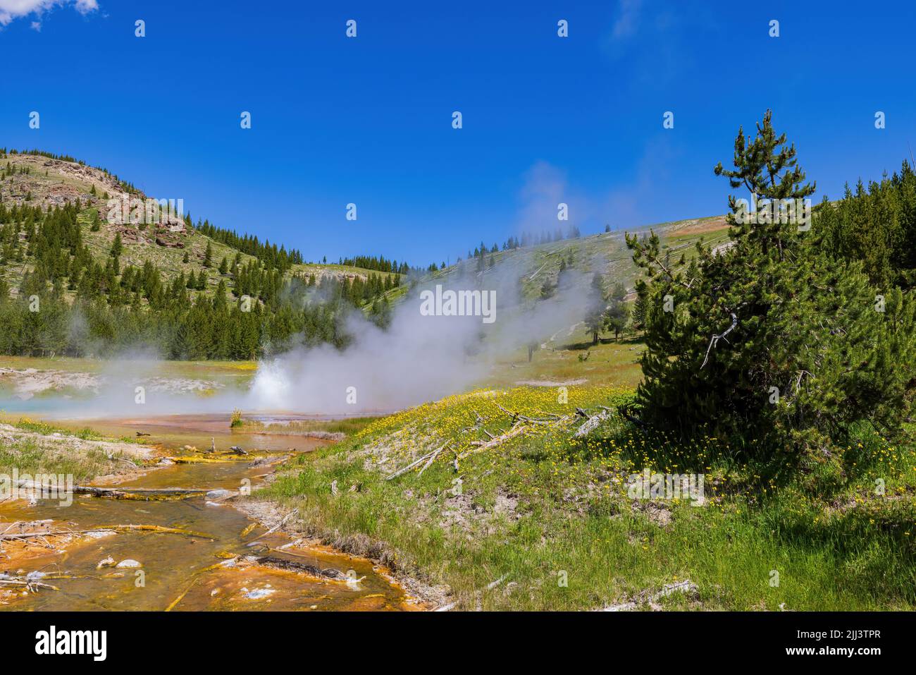 Vista soleggiata dello splendido paesaggio di Imperial Geyser nel Wyoming Foto Stock