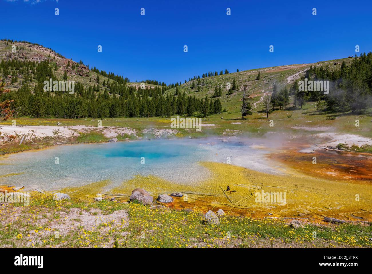 Vista soleggiata dello splendido paesaggio di Imperial Geyser nel Wyoming Foto Stock