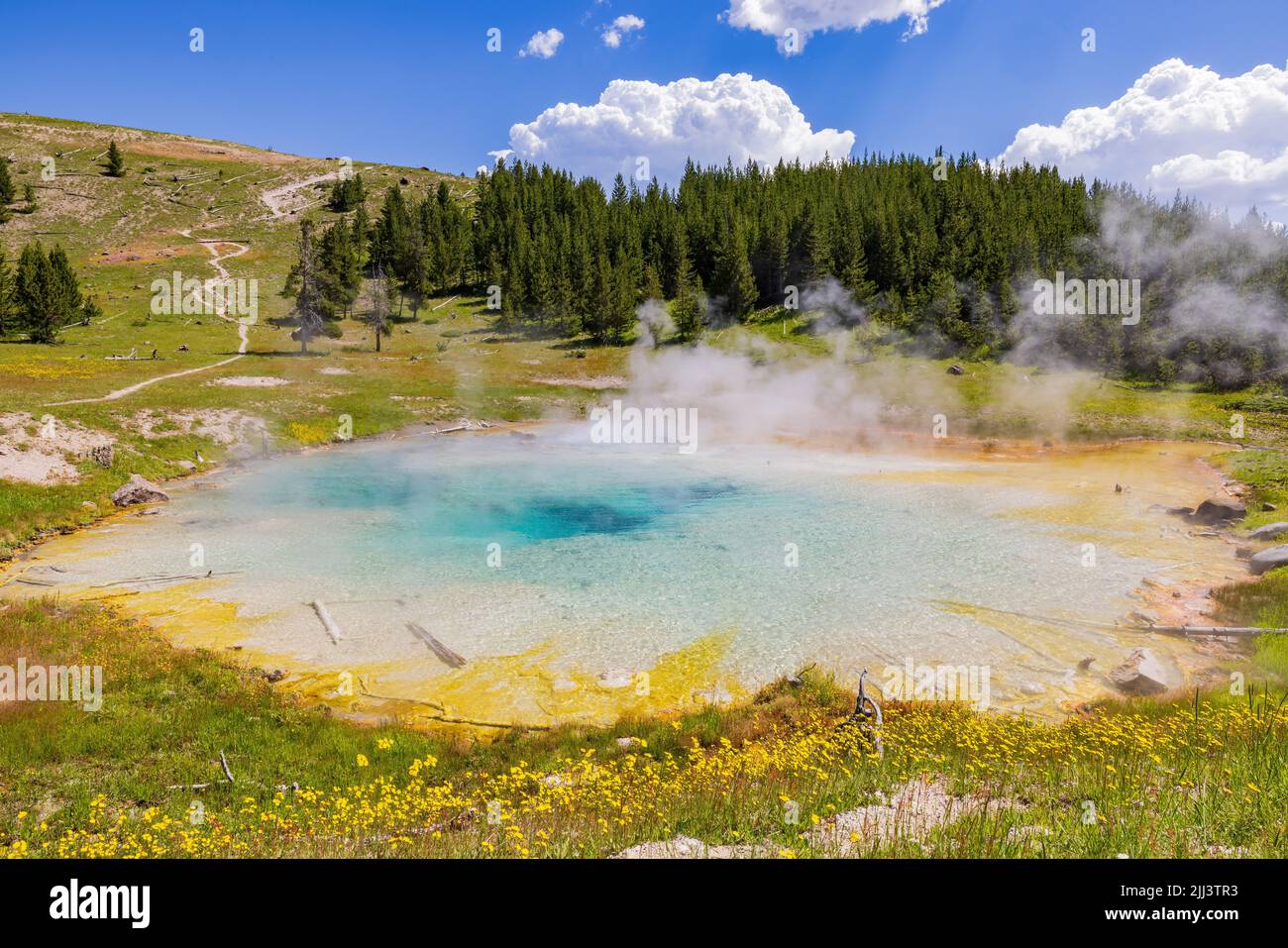 Vista soleggiata dello splendido paesaggio di Imperial Geyser nel Wyoming Foto Stock