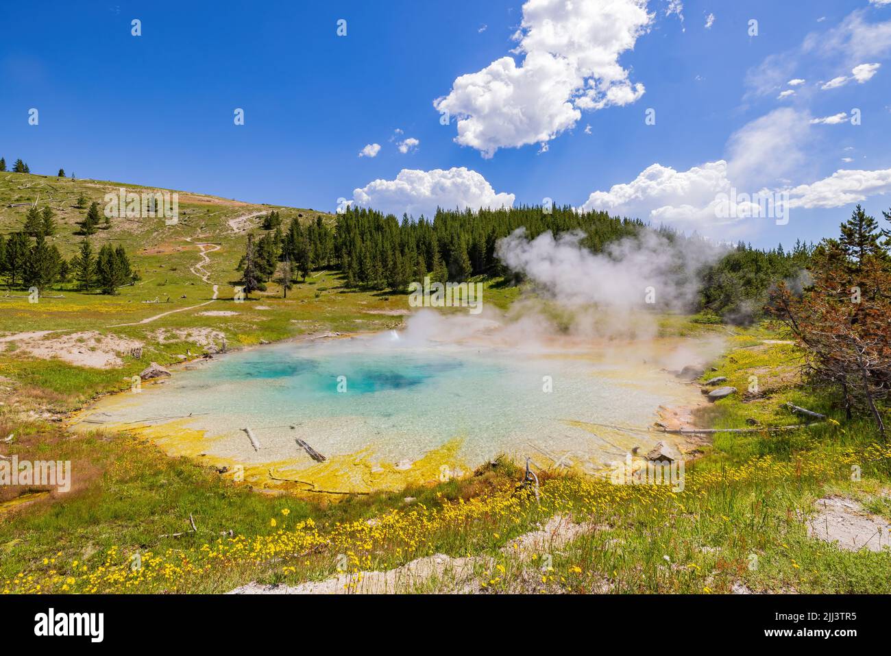 Vista soleggiata dello splendido paesaggio di Imperial Geyser nel Wyoming Foto Stock