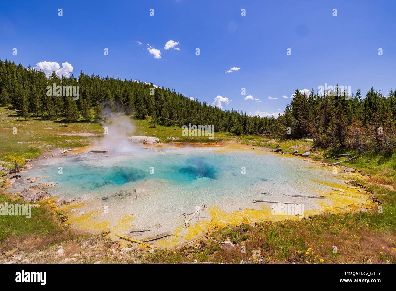 Vista soleggiata dello splendido paesaggio di Imperial Geyser nel Wyoming Foto Stock