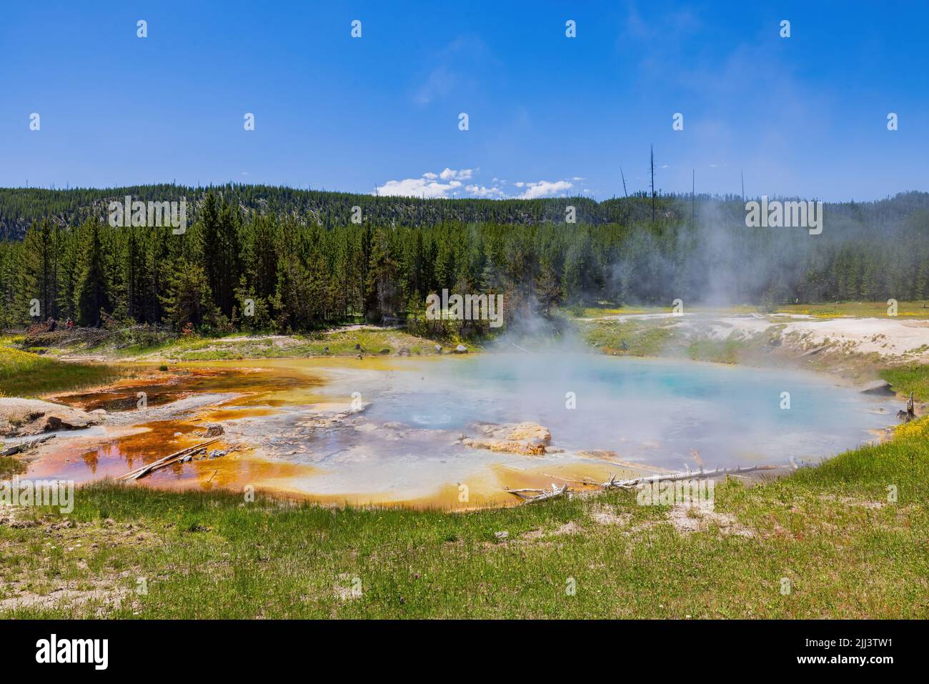 Vista soleggiata dello splendido paesaggio di Imperial Geyser nel Wyoming Foto Stock