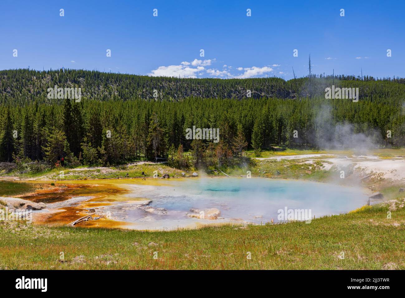 Vista soleggiata dello splendido paesaggio di Imperial Geyser nel Wyoming Foto Stock
