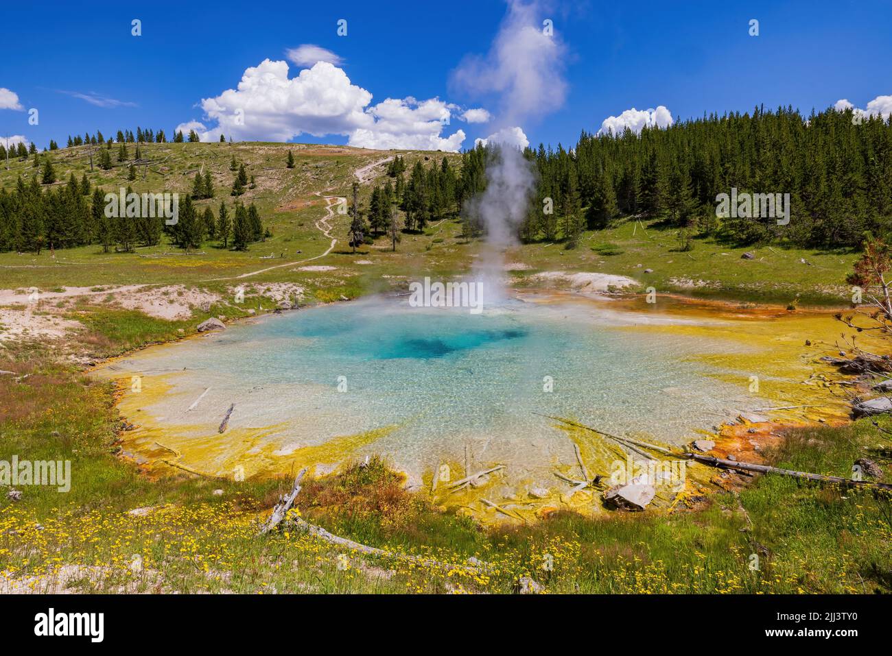 Vista soleggiata dello splendido paesaggio di Imperial Geyser nel Wyoming Foto Stock