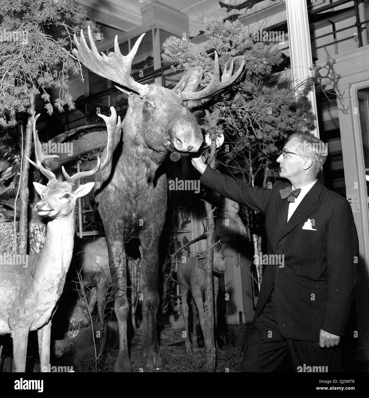 Karro-Museum.29 Ottobre 1958. Foto Stock