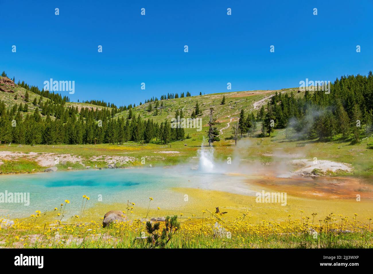 Vista soleggiata dello splendido paesaggio di Imperial Geyser nel Wyoming Foto Stock
