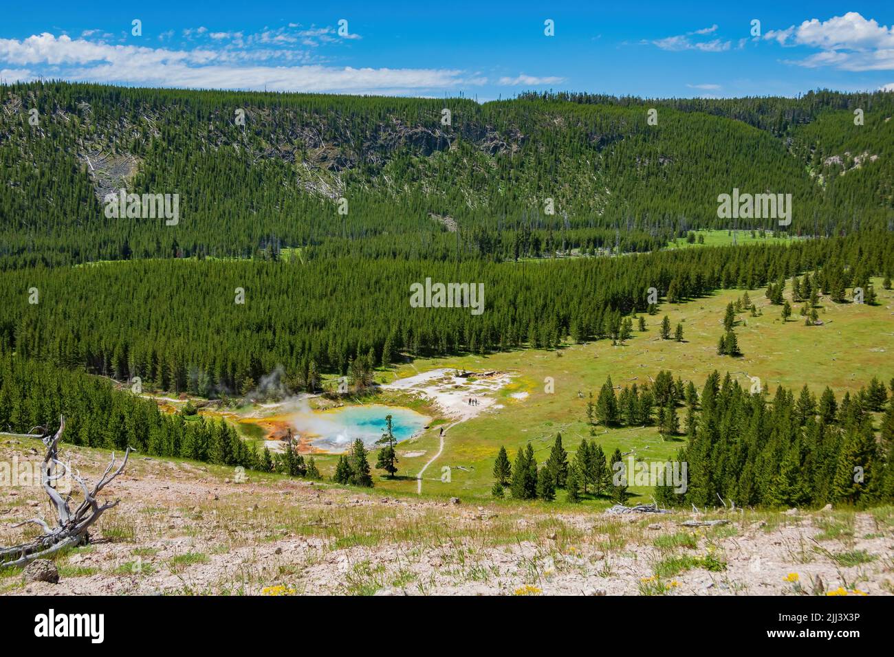 Vista soleggiata ad alto angolo dello splendido paesaggio di Imperial Geyser nel Wyoming Foto Stock