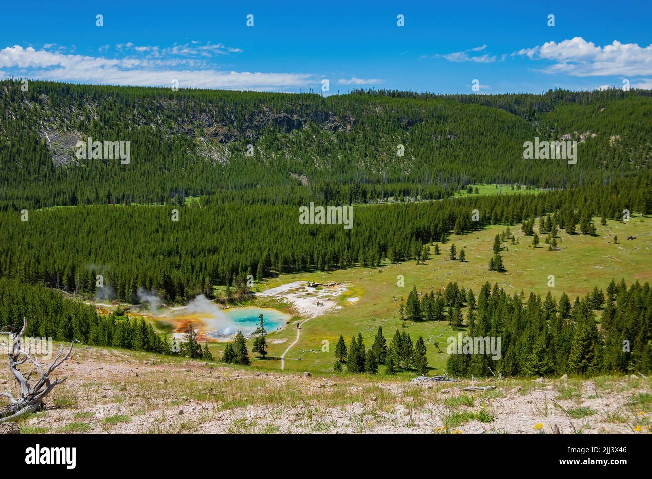 Vista soleggiata ad alto angolo dello splendido paesaggio di Imperial Geyser nel Wyoming Foto Stock
